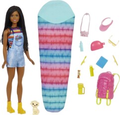 Barbie-Puppe Familie Brooklyn beim Camping mit Zubehör
